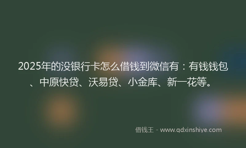 2025年的没银行卡怎么借钱到微信有：有钱钱包、中原快贷、沃易贷、小金库、新一花等。