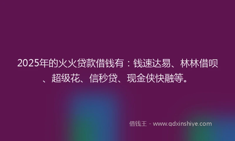 2025年的火火贷款借钱有：钱速达易、林林借呗、超级花、信秒贷、现金侠快融等。