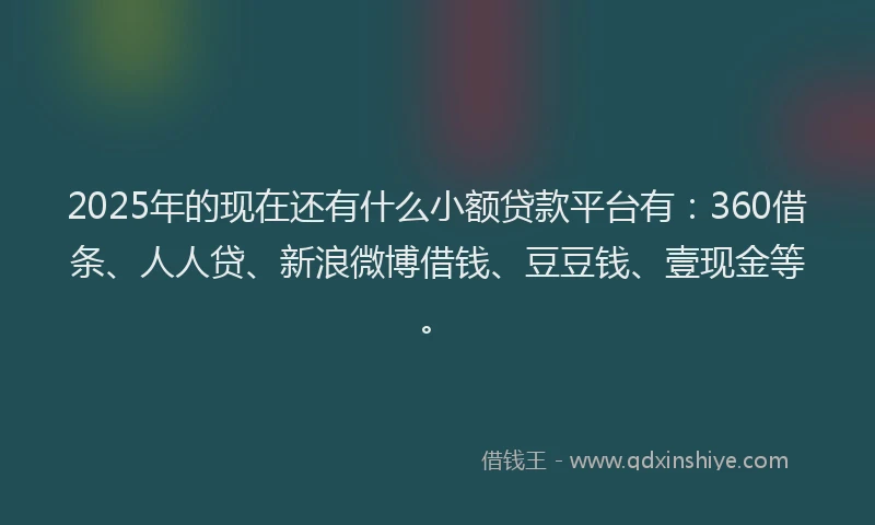2025年的现在还有什么小额贷款平台有：360借条、人人贷、新浪微博借钱、豆豆钱、壹现金等。