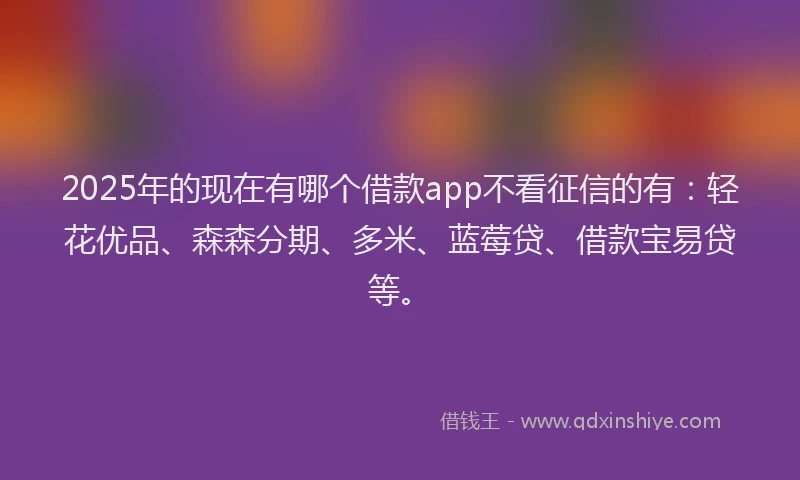 2025年的现在有哪个借款app不看征信的有：轻花优品、森森分期、多米、蓝莓贷、借款宝易贷等。