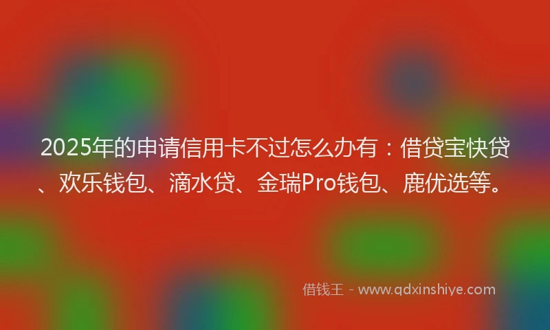 2025年的申请信用卡不过怎么办有：借贷宝快贷、欢乐钱包、滴水贷、金瑞Pro钱包、鹿优选等。