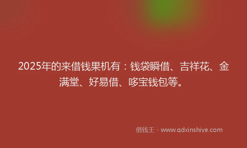 2025年的来借钱果机有：钱袋瞬借、吉祥花、金满堂、好易借、哆宝钱包等。