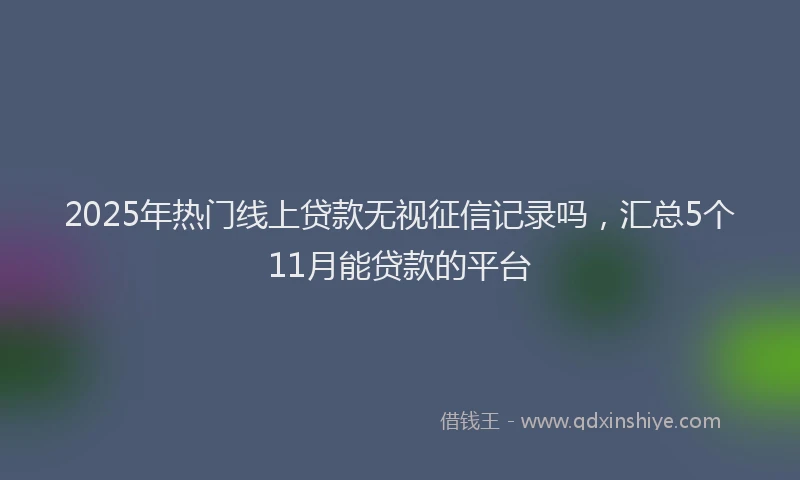 2025年热门线上贷款无视征信记录吗，汇总5个11月能贷款的平台