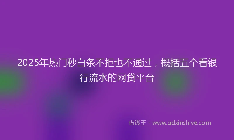 2025年热门秒白条不拒也不通过，概括五个看银行流水的网贷平台