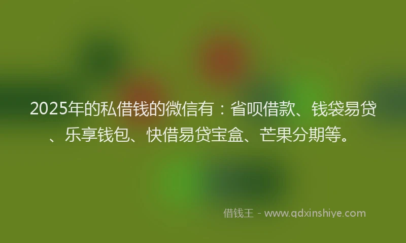 2025年的私借钱的微信有：省呗借款、钱袋易贷、乐享钱包、快借易贷宝盒、芒果分期等。
