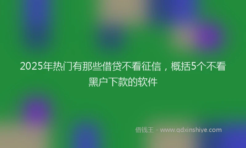 2025年热门有那些借贷不看征信，概括5个不看黑户下款的软件