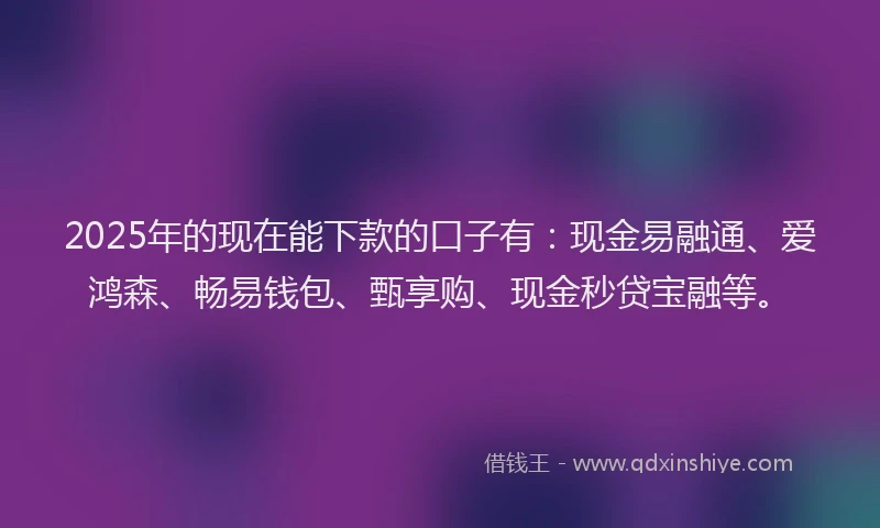 2025年的现在能下款的口子有：现金易融通、爱鸿森、畅易钱包、甄享购、现金秒贷宝融等。