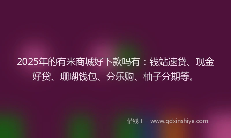 2025年的有米商城好下款吗有：钱站速贷、现金好贷、珊瑚钱包、分乐购、柚子分期等。