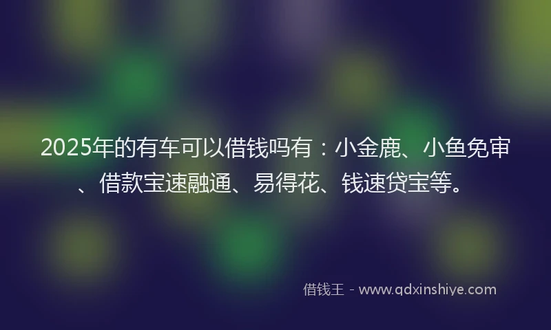 2025年的有车可以借钱吗有：小金鹿、小鱼免审、借款宝速融通、易得花、钱速贷宝等。