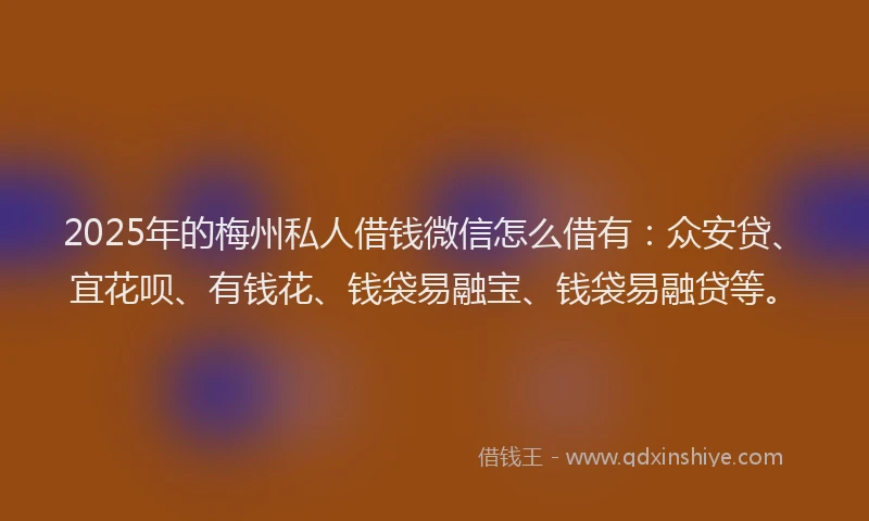 2025年的梅州私人借钱微信怎么借有：众安贷、宜花呗、有钱花、钱袋易融宝、钱袋易融贷等。
