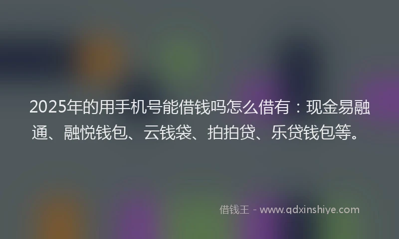 2025年的用手机号能借钱吗怎么借有：现金易融通、融悦钱包、云钱袋、拍拍贷、乐贷钱包等。