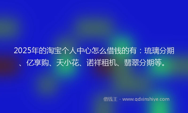 2025年的淘宝个人中心怎么借钱的有：琉璃分期、亿享购、天小花、诺祥租机、翡翠分期等。