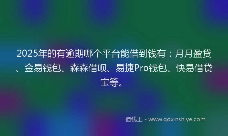2025年的有逾期哪个平台能借到钱有：月月盈贷、金易钱包、森森借呗、易捷Pro钱包、快易借贷宝等。