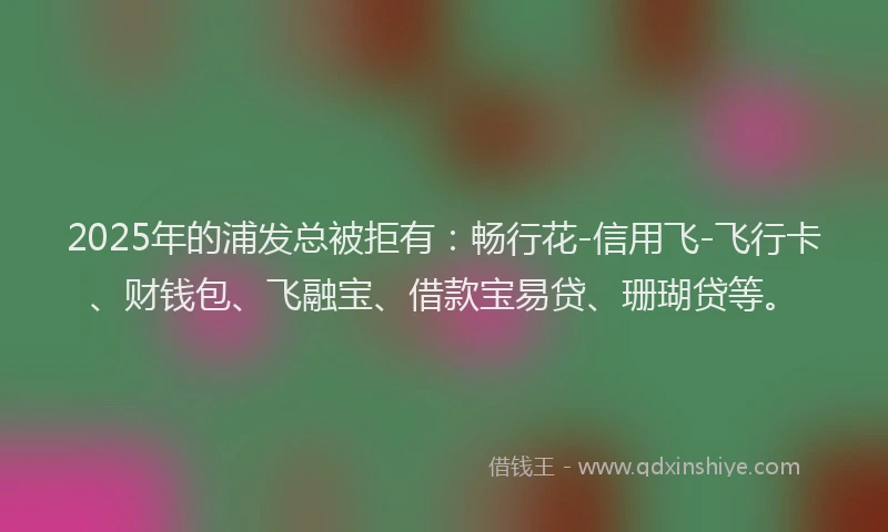 2025年的浦发总被拒有：畅行花-信用飞-飞行卡、财钱包、飞融宝、借款宝易贷、珊瑚贷等。
