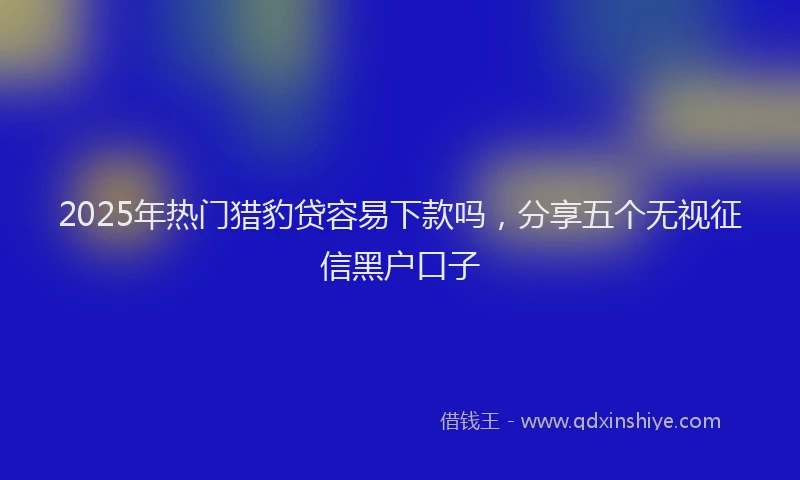 2025年热门猎豹贷容易下款吗，分享五个无视征信黑户口子