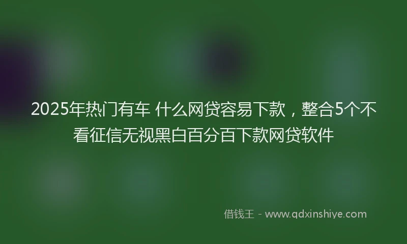 2025年热门有车 什么网贷容易下款，整合5个不看征信无视黑白百分百下款网贷软件