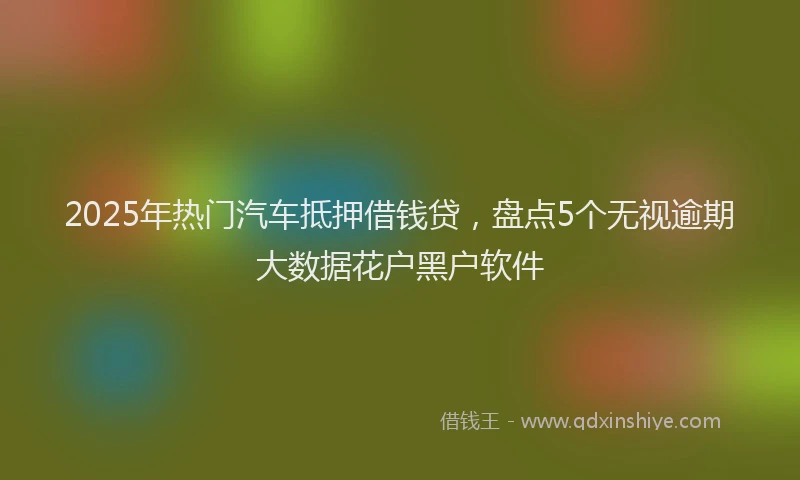 2025年热门汽车抵押借钱贷，盘点5个无视逾期大数据花户黑户软件