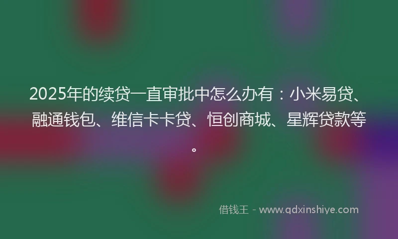 2025年的续贷一直审批中怎么办有：小米易贷、融通钱包、维信卡卡贷、恒创商城、星辉贷款等。