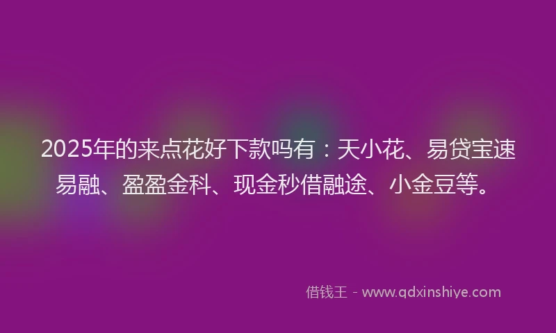 2025年的来点花好下款吗有：天小花、易贷宝速易融、盈盈金科、现金秒借融途、小金豆等。