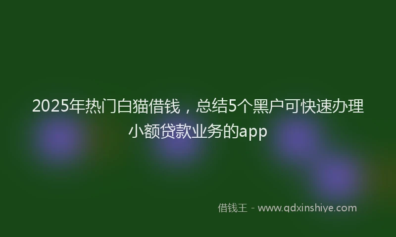 2025年热门白猫借钱，总结5个黑户可快速办理小额贷款业务的app