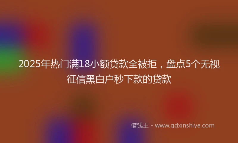 2025年热门满18小额贷款全被拒，盘点5个无视征信黑白户秒下款的贷款