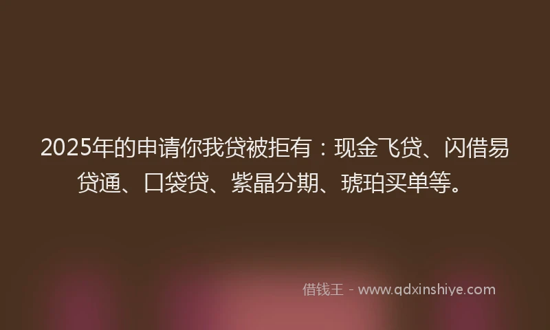 2025年的申请你我贷被拒有：现金飞贷、闪借易贷通、口袋贷、紫晶分期、琥珀买单等。