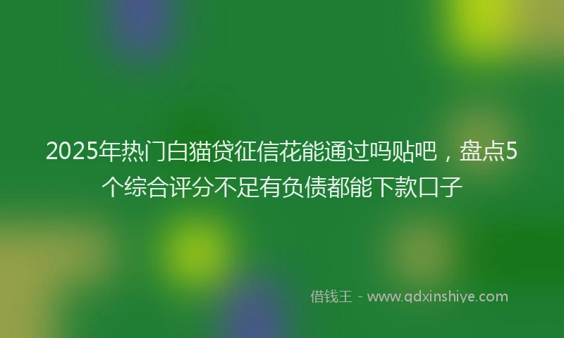 2025年热门白猫贷征信花能通过吗贴吧，盘点5个综合评分不足有负债都能下款口子