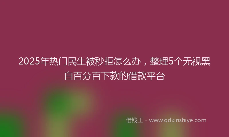 2025年热门民生被秒拒怎么办，整理5个无视黑白百分百下款的借款平台
