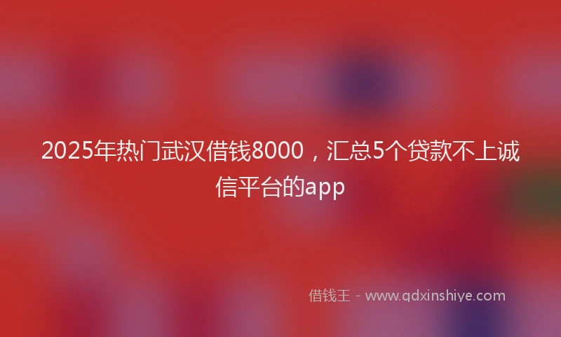 2025年热门武汉借钱8000，汇总5个贷款不上诚信平台的app