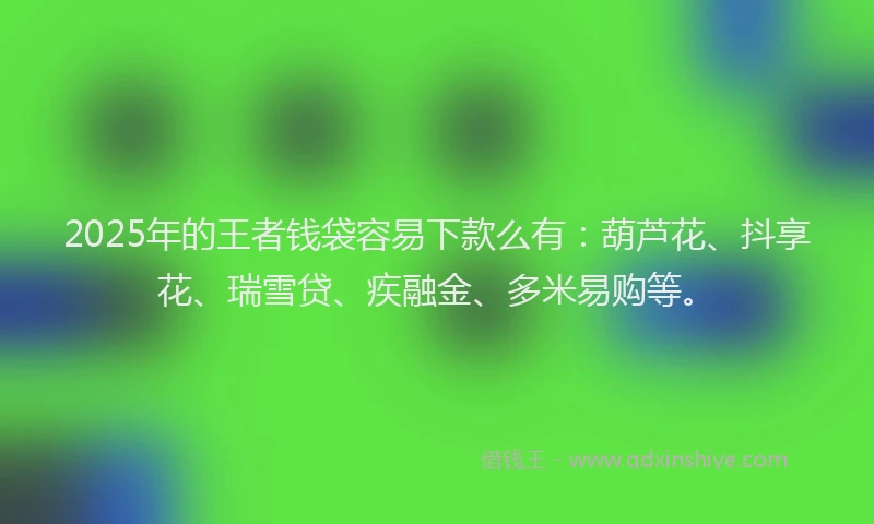 2025年的王者钱袋容易下款么有：葫芦花、抖享花、瑞雪贷、疾融金、多米易购等。