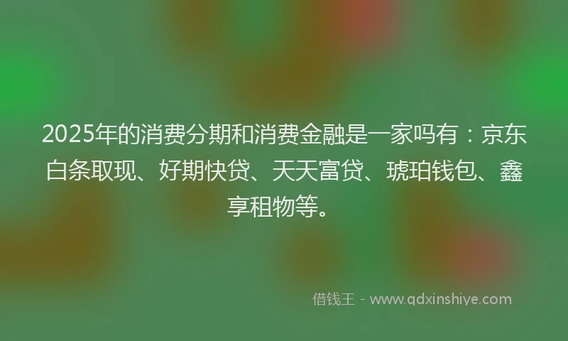 2025年的消费分期和消费金融是一家吗有：京东白条取现、好期快贷、天天富贷、琥珀钱包、鑫享租物等。