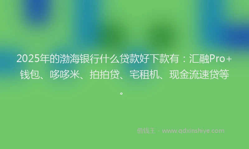 2025年的渤海银行什么贷款好下款有：汇融Pro+钱包、哆哆米、拍拍贷、宅租机、现金流速贷等。