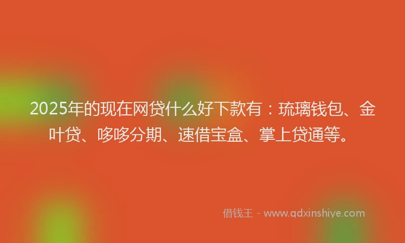 2025年的现在网贷什么好下款有：琉璃钱包、金叶贷、哆哆分期、速借宝盒、掌上贷通等。