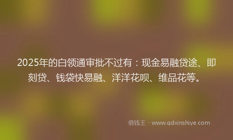 2025年的白领通审批不过有：现金易融贷途、即刻贷、钱袋快易融、洋洋花呗、维品花等。
