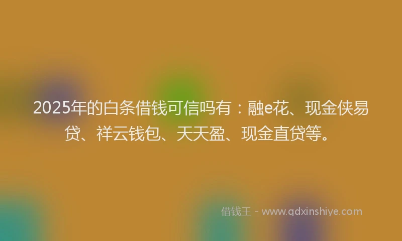 2025年的白条借钱可信吗有：融e花、现金侠易贷、祥云钱包、天天盈、现金直贷等。
