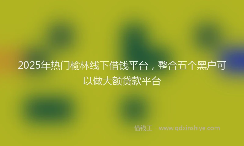 2025年热门榆林线下借钱平台，整合五个黑户可以做大额贷款平台