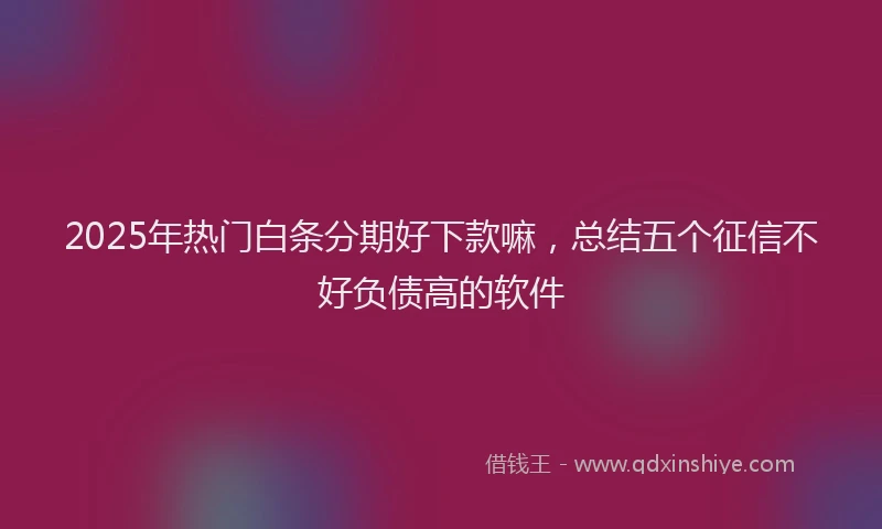 2025年热门白条分期好下款嘛，总结五个征信不好负债高的软件