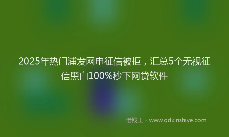 2025年热门浦发网申征信被拒，汇总5个无视征信黑白100%秒下网贷软件