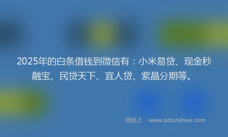 2025年的白条借钱到微信有：小米易贷、现金秒融宝、民贷天下、宜人贷、紫晶分期等。