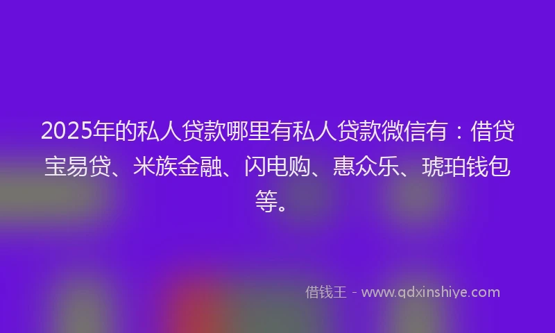 2025年的私人贷款哪里有私人贷款微信有：借贷宝易贷、米族金融、闪电购、惠众乐、琥珀钱包等。