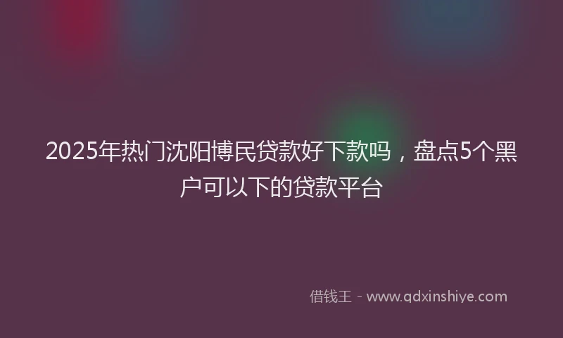 2025年热门沈阳博民贷款好下款吗，盘点5个黑户可以下的贷款平台