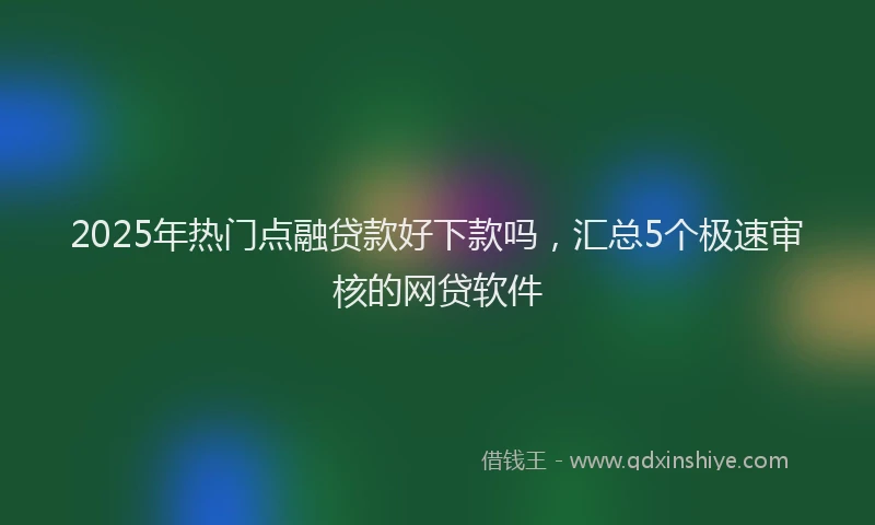 2025年热门点融贷款好下款吗，汇总5个极速审核的网贷软件