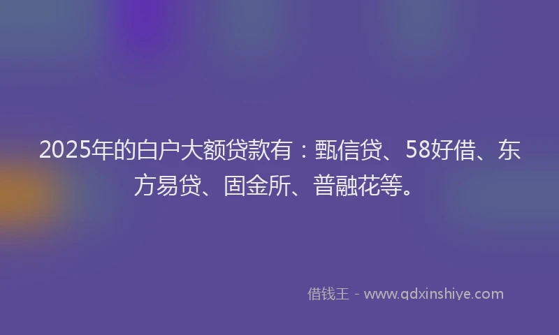2025年的白户大额贷款有：甄信贷、58好借、东方易贷、固金所、普融花等。