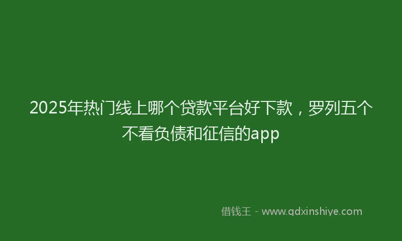 2025年热门线上哪个贷款平台好下款，罗列五个不看负债和征信的app
