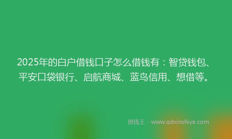 2025年的白户借钱口子怎么借钱有：智贷钱包、平安口袋银行、启航商城、蓝鸟信用、想借等。