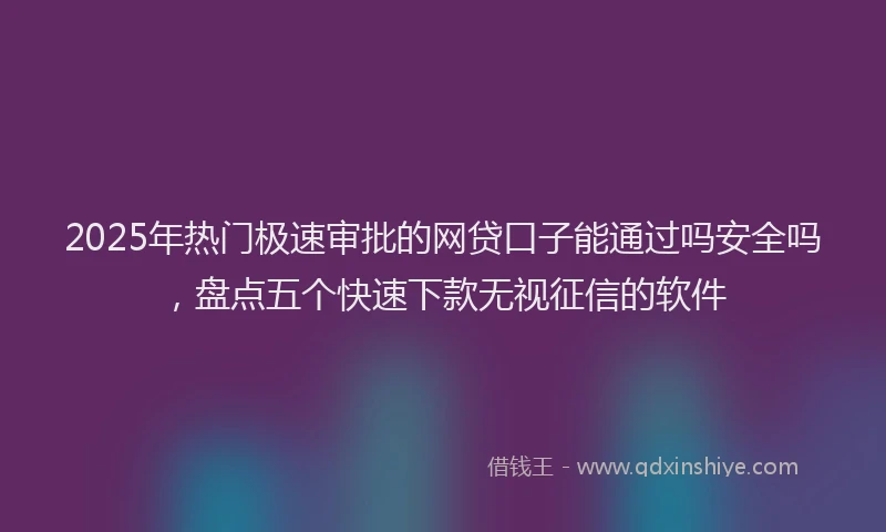 2025年热门极速审批的网贷口子能通过吗安全吗，盘点五个快速下款无视征信的软件