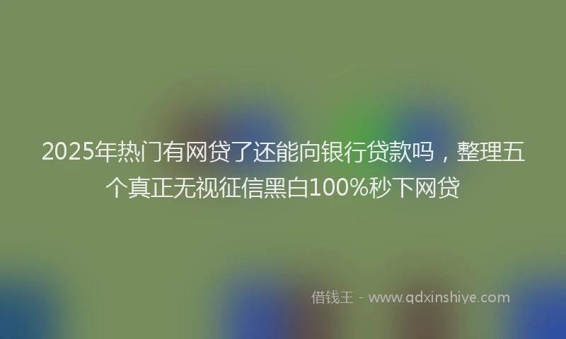 2025年热门有网贷了还能向银行贷款吗，整理五个真正无视征信黑白100%秒下网贷
