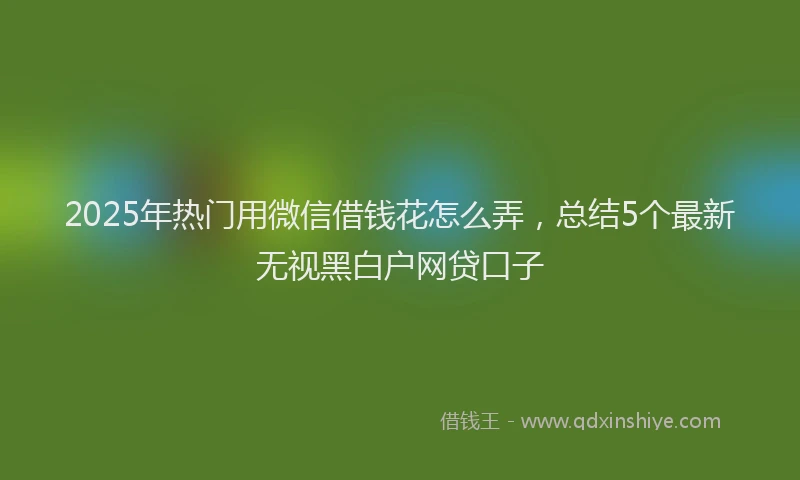 2025年热门用微信借钱花怎么弄，总结5个最新无视黑白户网贷口子