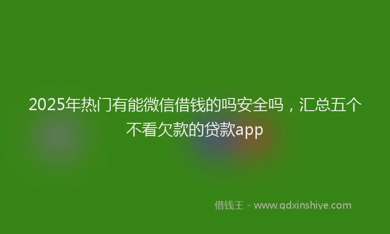 2025年热门有能微信借钱的吗安全吗，汇总五个不看欠款的贷款app