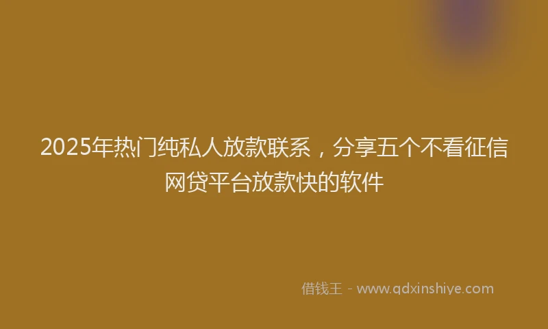 2025年热门纯私人放款联系，分享五个不看征信网贷平台放款快的软件